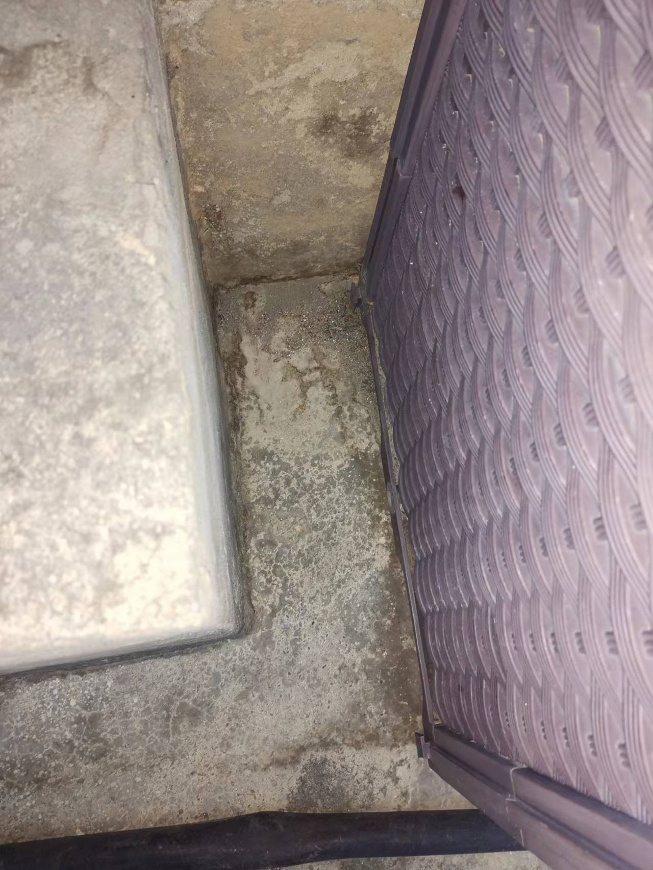 11水3.jpg