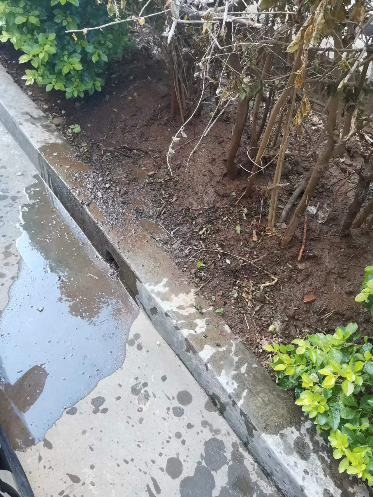 14水4.jpg