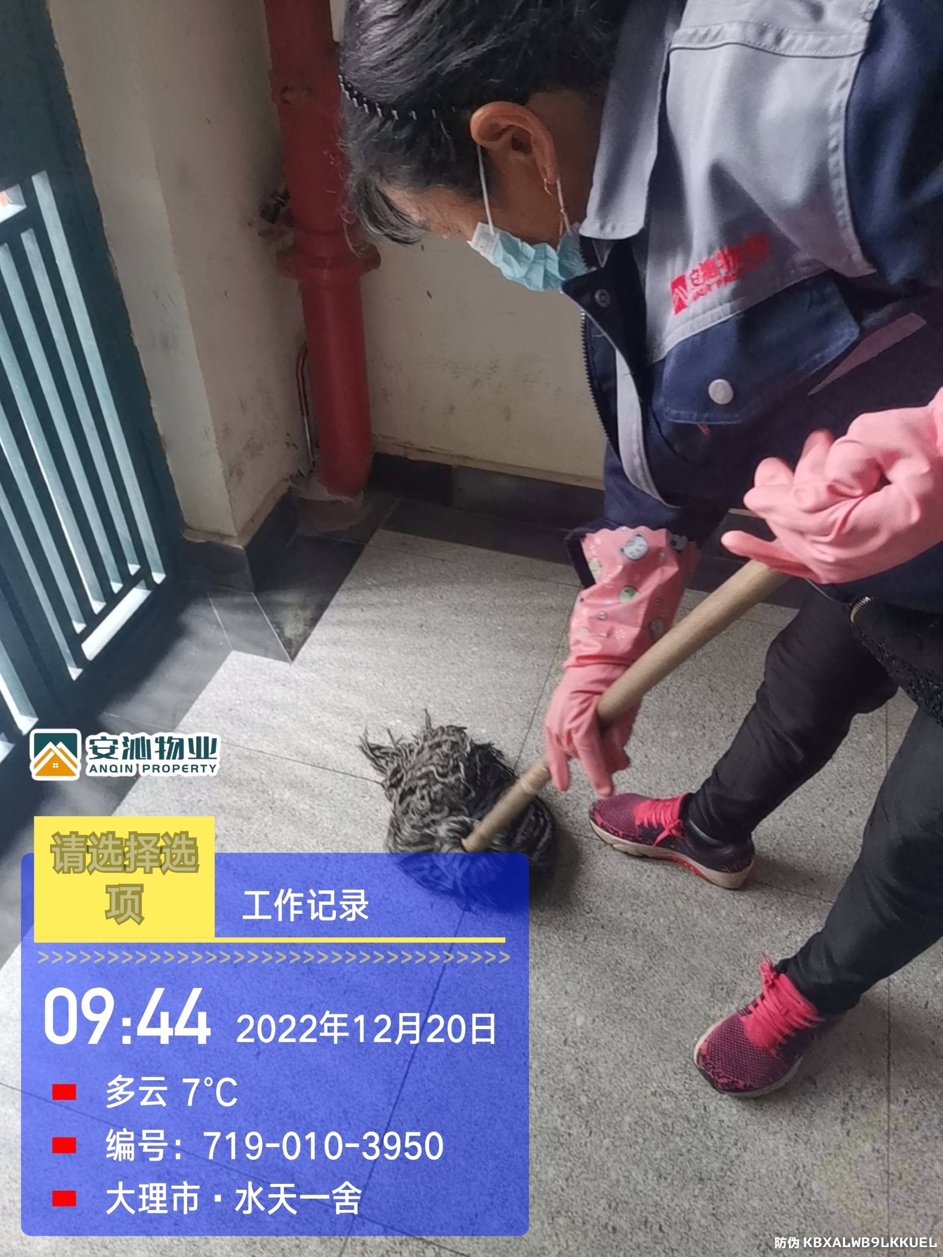 20水4.jpg